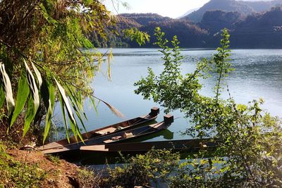 Scenic view of lake by trees against sky