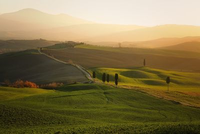 Scenic view of field against sky during sunset