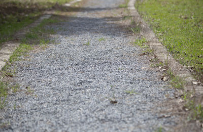 Surface level of footpath