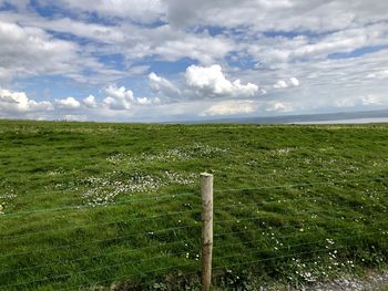 Scenic view of field against sky