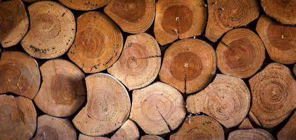 Full frame shot of logs in forest