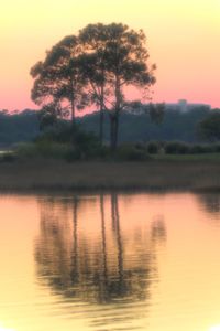 Silhouette trees by lake against sky during sunset