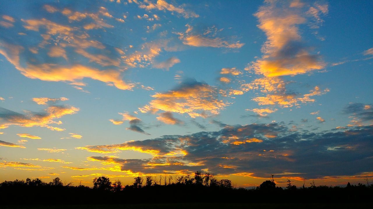 LOW ANGLE VIEW OF SILHOUETTE TREES ON LANDSCAPE AGAINST SKY AT SUNSET