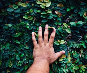 Close-up of human hand