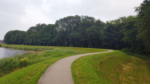 Scenic view of river amidst trees against sky