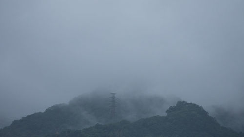 Scenic view of tree in foggy weather against sky