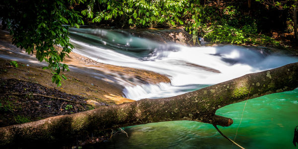 Stream flowing through a forest