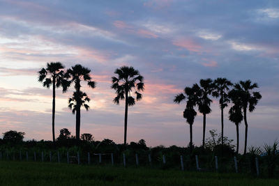 Silhouette palm trees on field against sky during sunset