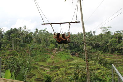 People on rope in forest against sky