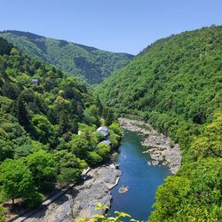 High angle view of river amidst trees in forest