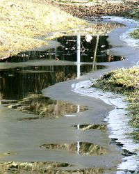 View of river with trees in background