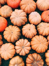 Full frame shot of pumpkins