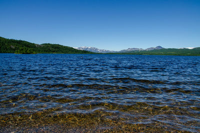 Scenic view of sea against clear blue sky
