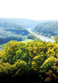 High angle view of trees on landscape against sky