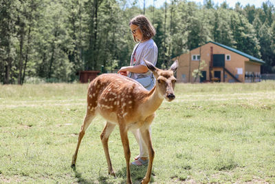 A girl feeding cute spotted deer bambi at petting zoo. 