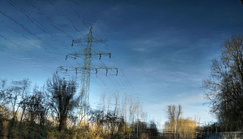 Low angle view of trees against sky