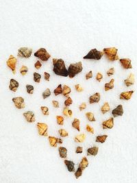 Directly above shot of heart shaped arranged seashells on snow covered field