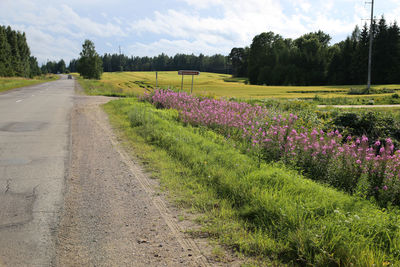 Empty road in field