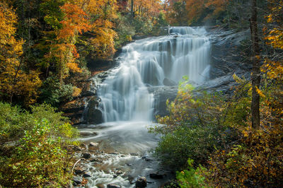 Scenic view of waterfall in forest during autumn