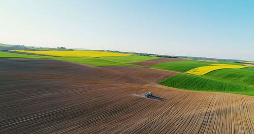 Scenic view of agricultural field against clear sky