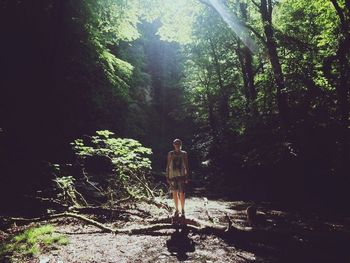 Man standing by tree in forest