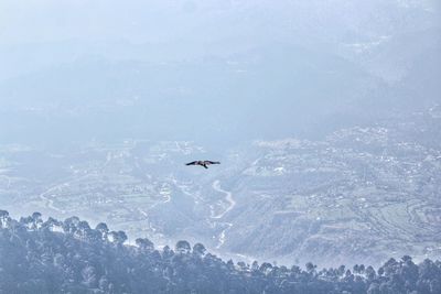 Birdel flying over snowcapped mountains