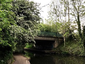 Bridge over river against trees