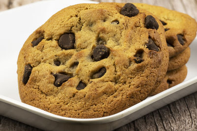 Freshly made chocolate chip cookies on a plate.
