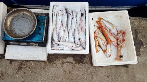 High angle view of fish on tray