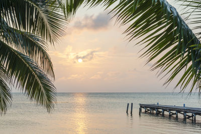 Scenic view of sea against sky at sunset