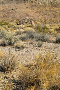 Scenic view of desert