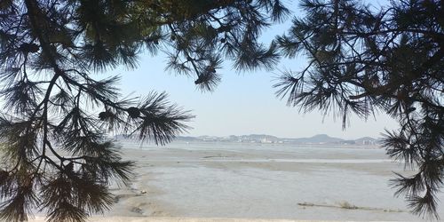 Scenic view of beach against clear sky