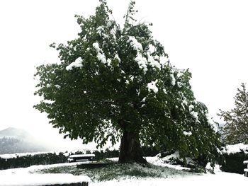 Scenic view of snow covered landscape