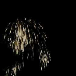 Low angle view of firework display