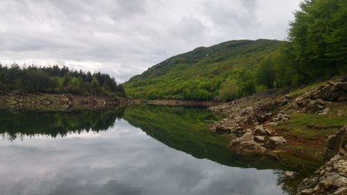 Scenic view of lake by trees against sky