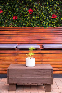 Potted plant on bench against wall