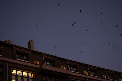 Low angle view of birds flying in sky