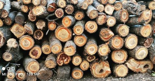 Full frame shot of logs in forest