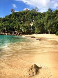Scenic view of beach against sky