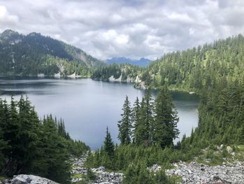 Scenic view of lake and pine trees against sky