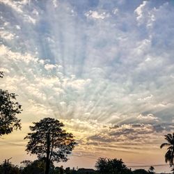 Low angle view of sunlight streaming through silhouette trees against sky