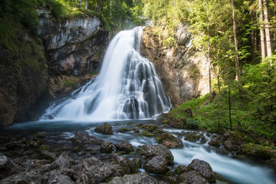 Scenic view of waterfall in forest