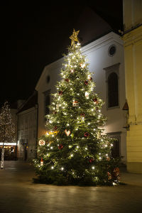 Illuminated christmas tree by building at night