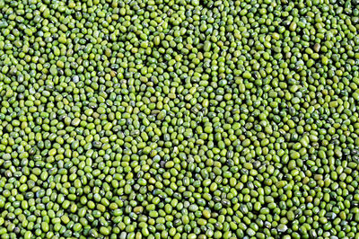 Full frame shot of green beans
