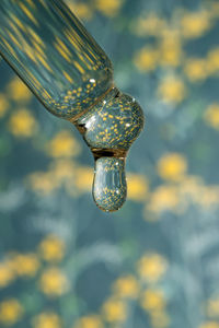 Close-up of light bulb