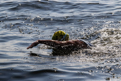 swimming
