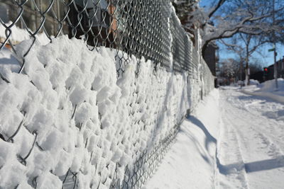 Snow covered landscape