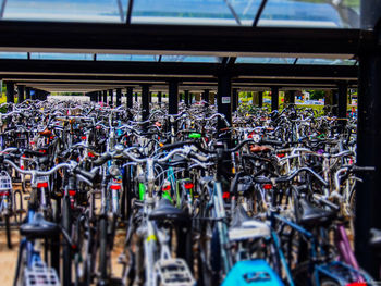 Bicycles in parking lot