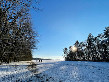 Scenic view of snow covered field against clear sky