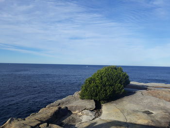 Scenic view of sea against blue sky